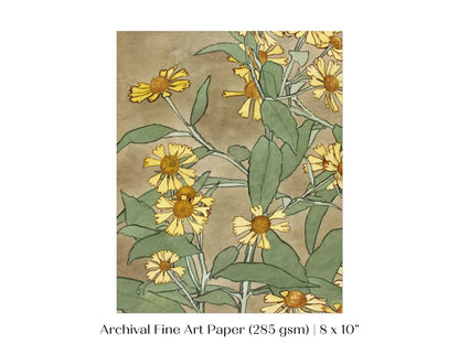 Watercolour Daisies | P286 - Single Art Prints - Piccolo Fiore Prints