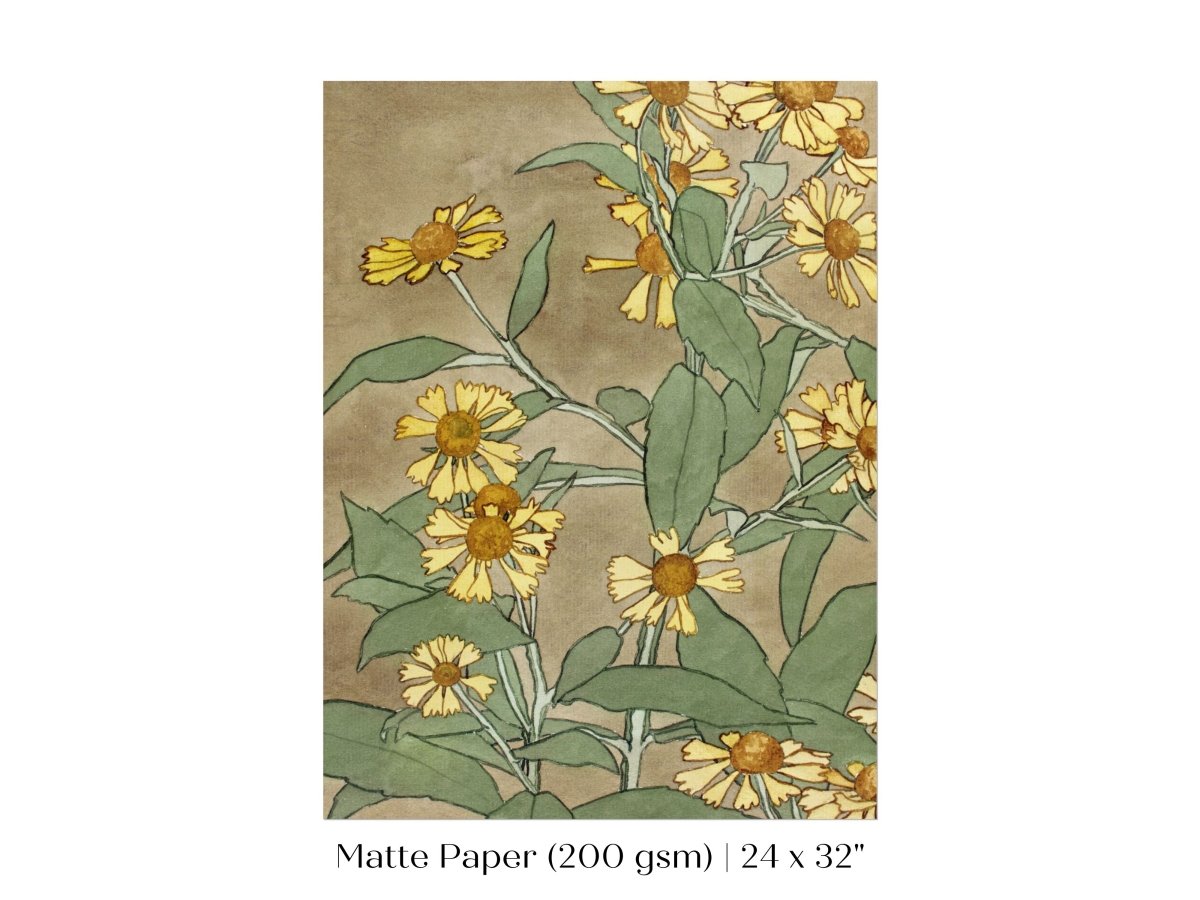 Watercolour Daisies | P286 - Single Art Prints - Piccolo Fiore Prints