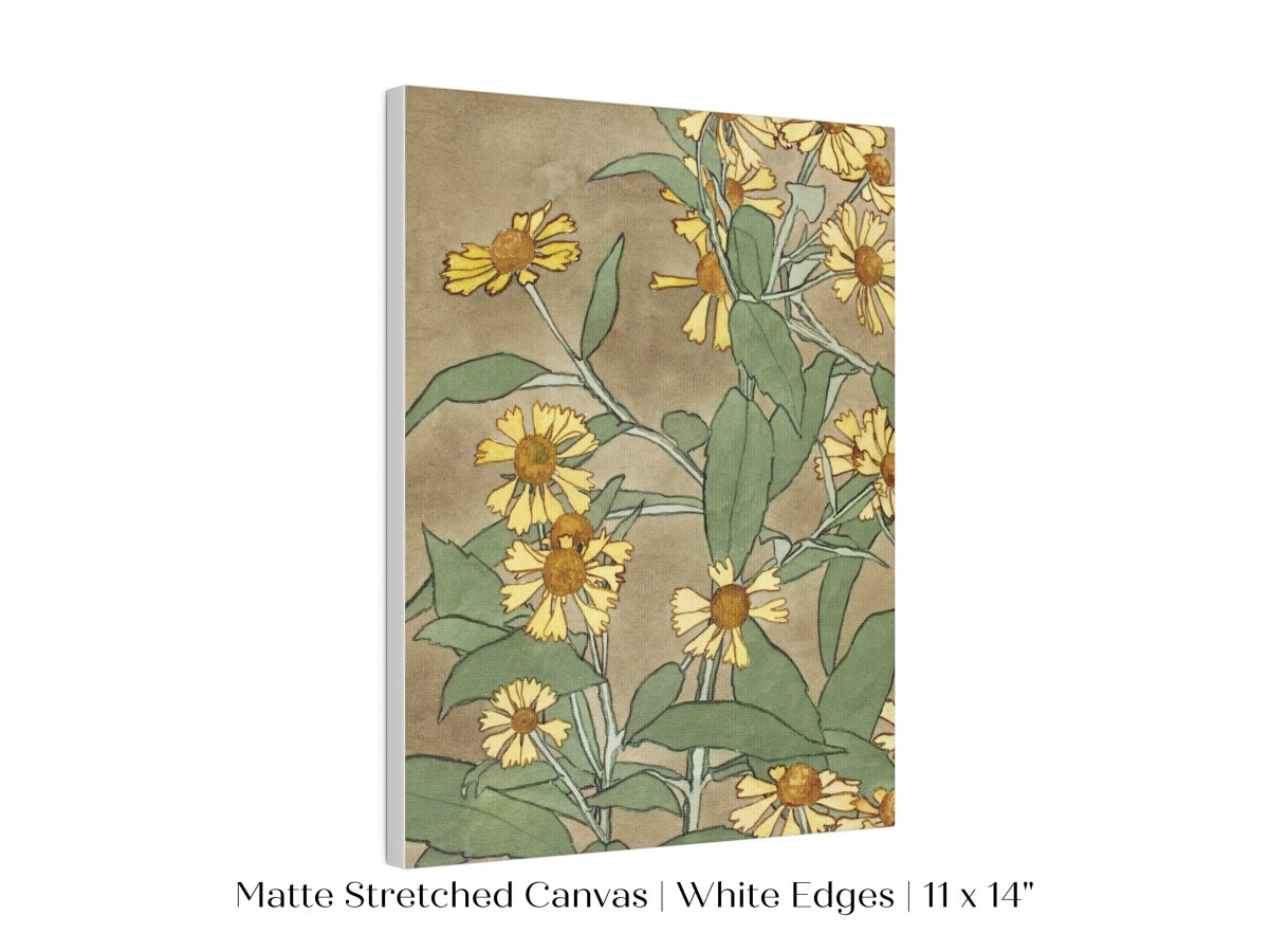 Watercolour Daisies | P286 - Single Art Prints - Piccolo Fiore Prints