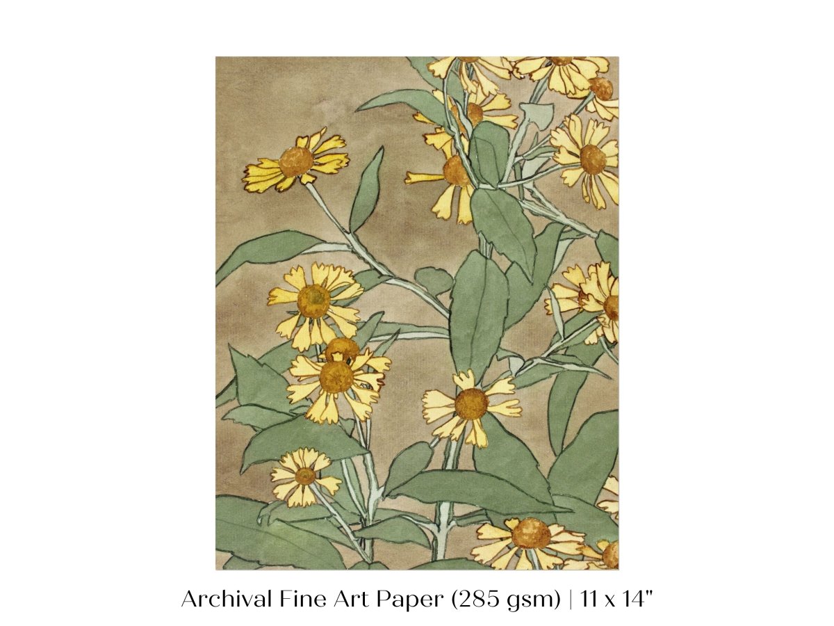 Watercolour Daisies | P286 - Single Art Prints - Piccolo Fiore Prints