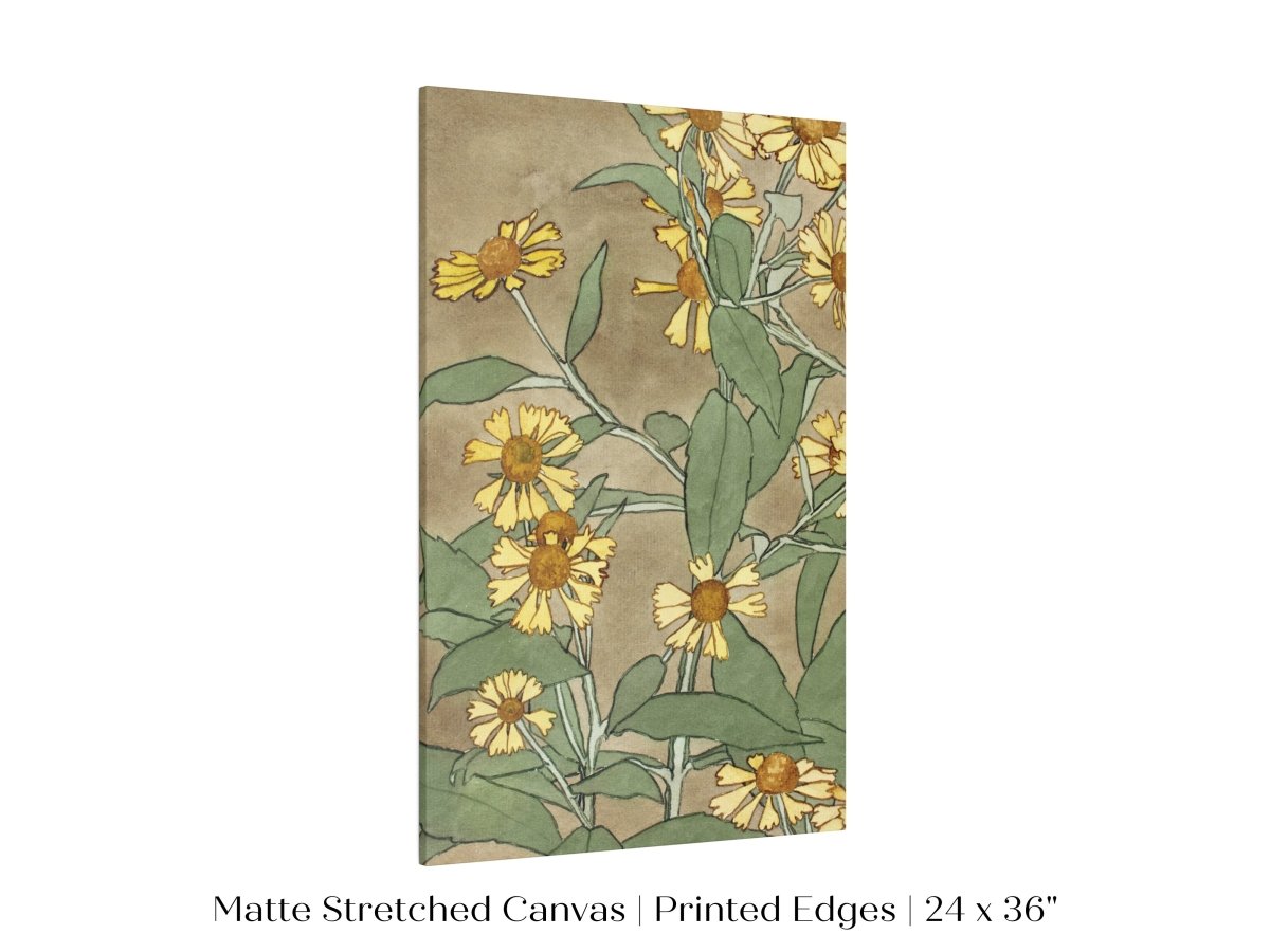 Watercolour Daisies | P286 - Single Art Prints - Piccolo Fiore Prints