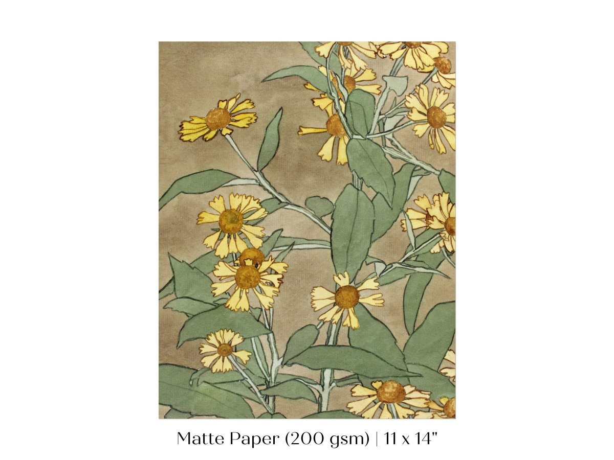 Watercolour Daisies | P286 - Single Art Prints - Piccolo Fiore Prints