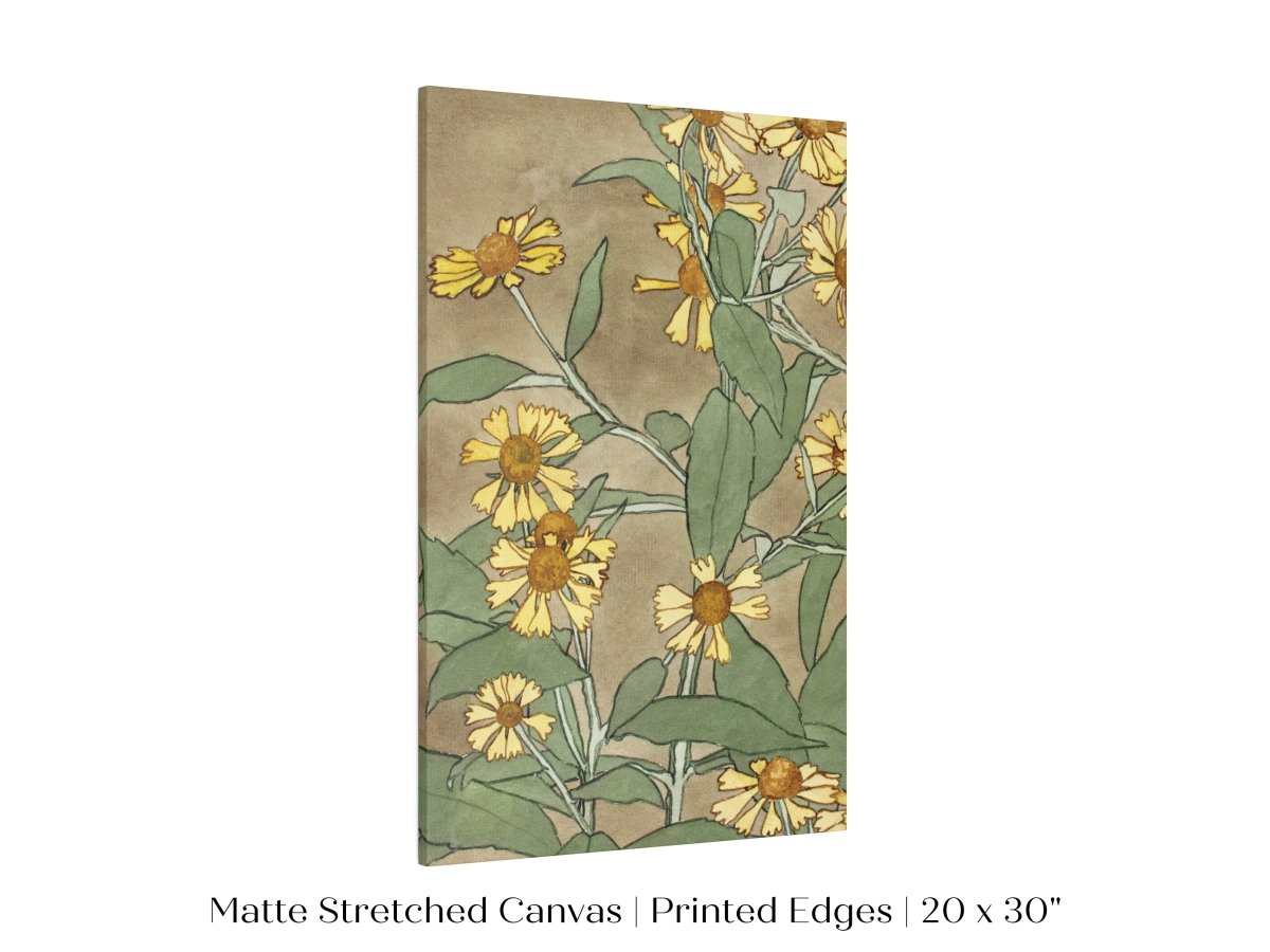 Watercolour Daisies | P286 - Single Art Prints - Piccolo Fiore Prints
