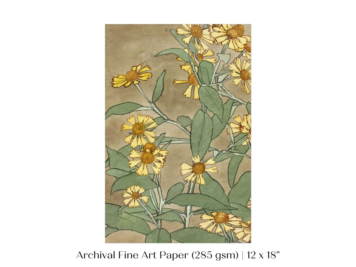 Watercolour Daisies | P286 - Single Art Prints - Piccolo Fiore Prints