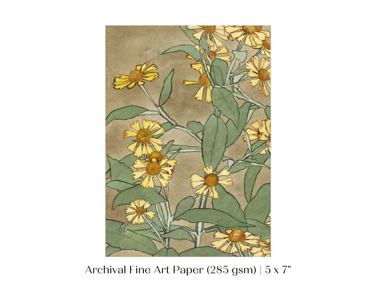 Watercolour Daisies | P286 - Single Art Prints - Piccolo Fiore Prints