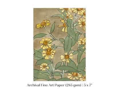 Watercolour Daisies | P286 - Single Art Prints - Piccolo Fiore Prints