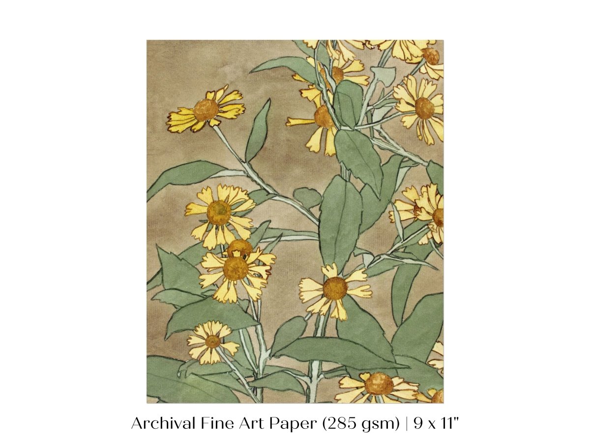 Watercolour Daisies | P286 - Single Art Prints - Piccolo Fiore Prints