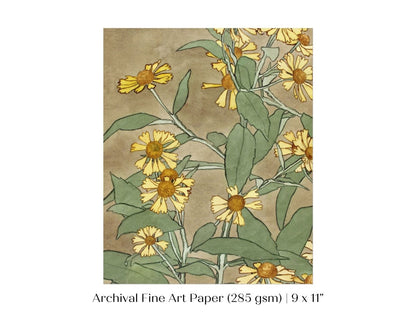 Watercolour Daisies | P286 - Single Art Prints - Piccolo Fiore Prints