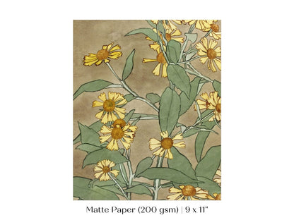 Watercolour Daisies | P286 - Single Art Prints - Piccolo Fiore Prints