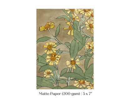 Watercolour Daisies | P286 - Single Art Prints - Piccolo Fiore Prints