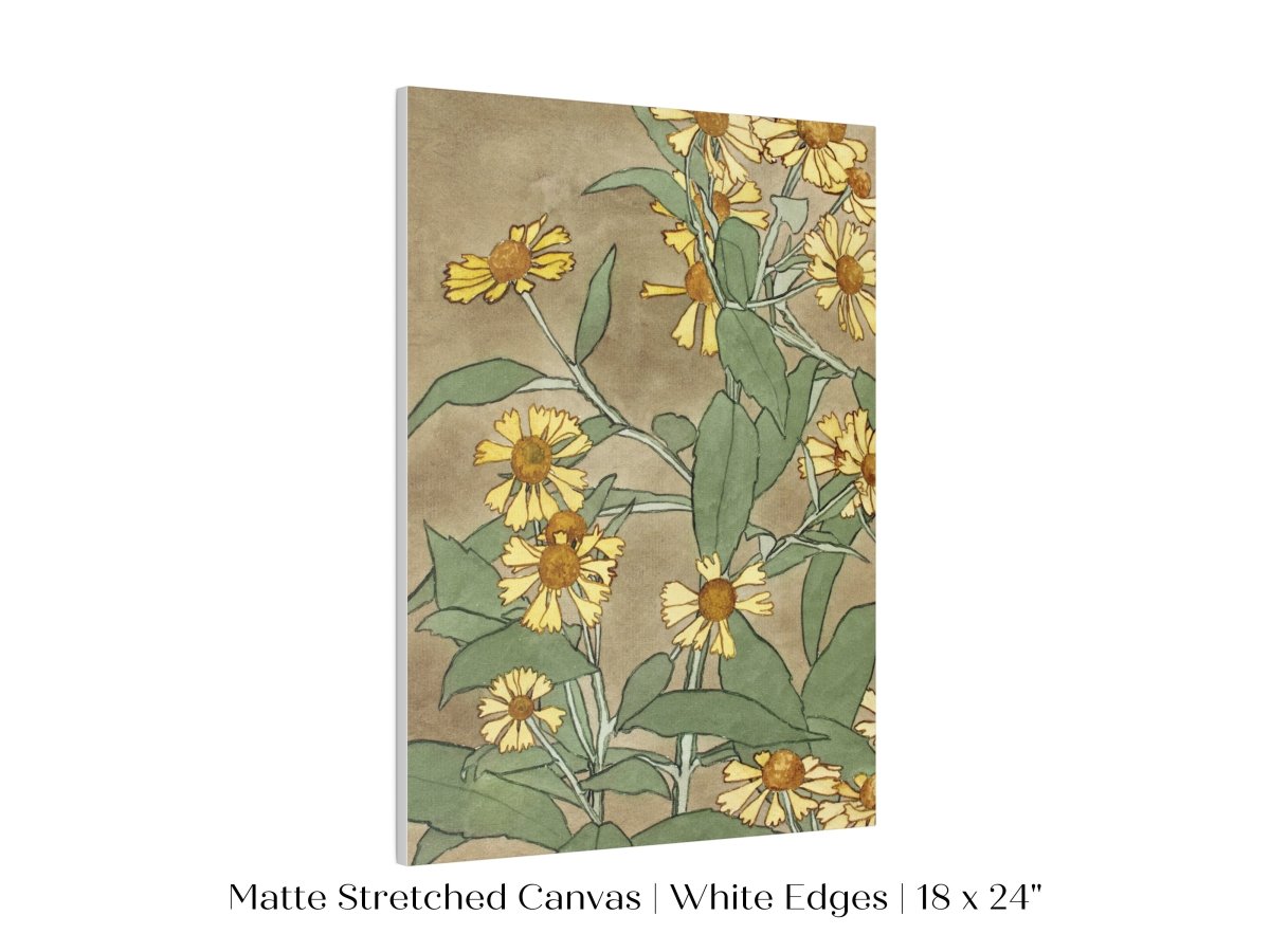 Watercolour Daisies | P286 - Single Art Prints - Piccolo Fiore Prints