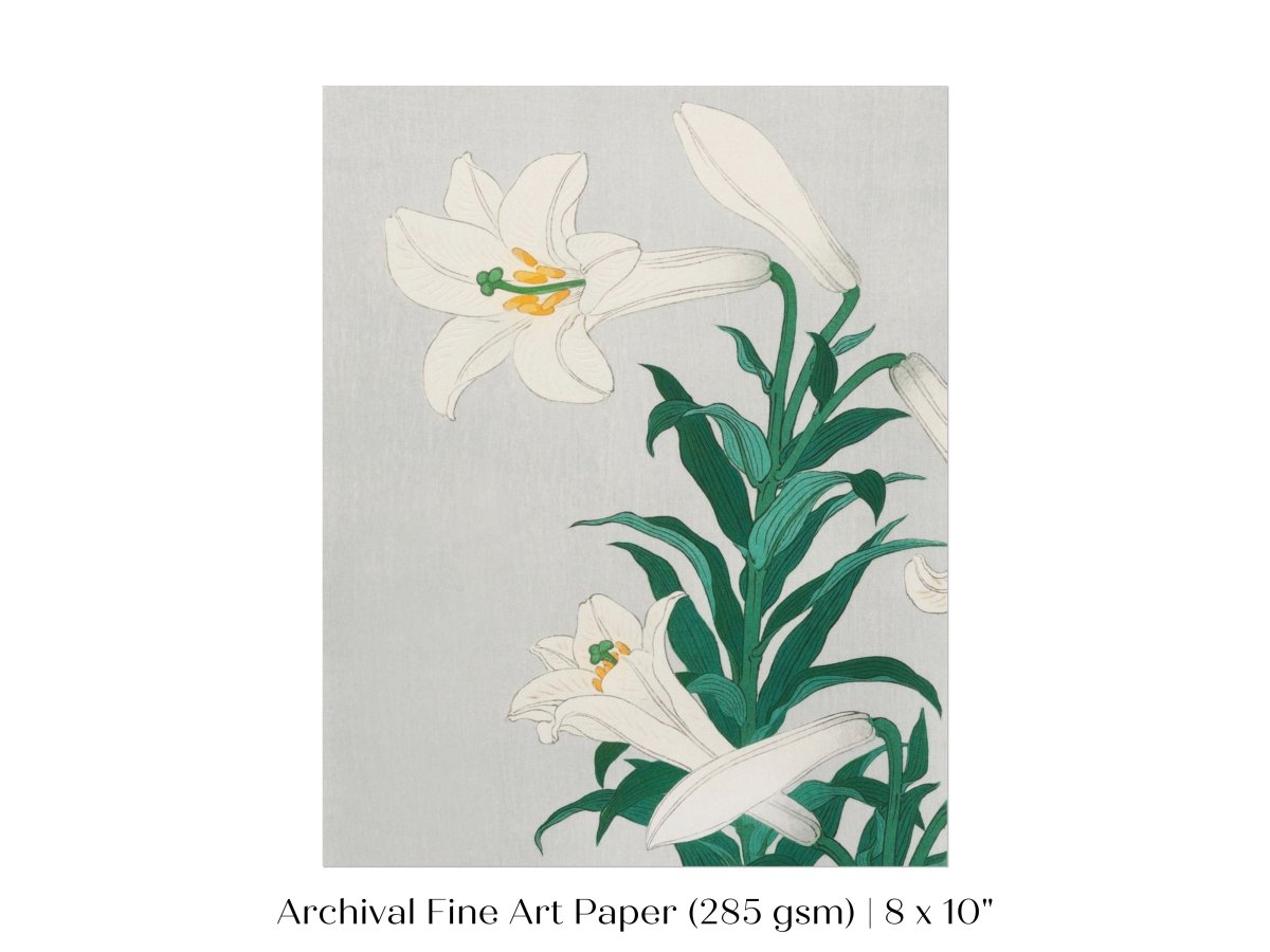 White Lilies | Vintage Japanese Art Print | P355 - Single Art Prints - Piccolo Fiore Prints