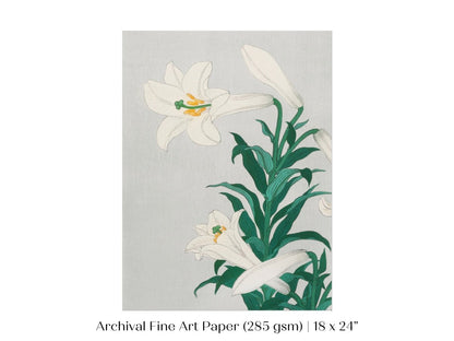 White Lilies | Vintage Japanese Art Print | P355 - Single Art Prints - Piccolo Fiore Prints