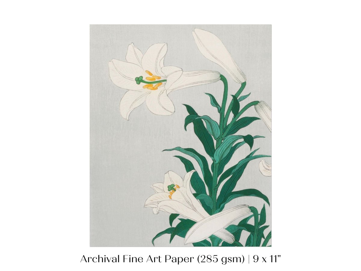 White Lilies | Vintage Japanese Art Print | P355 - Single Art Prints - Piccolo Fiore Prints