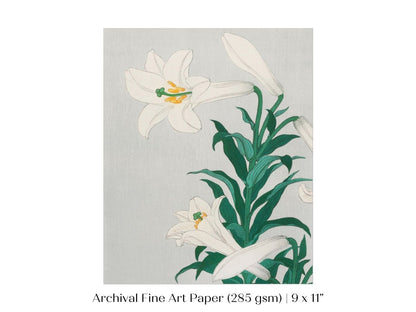 White Lilies | Vintage Japanese Art Print | P355 - Single Art Prints - Piccolo Fiore Prints
