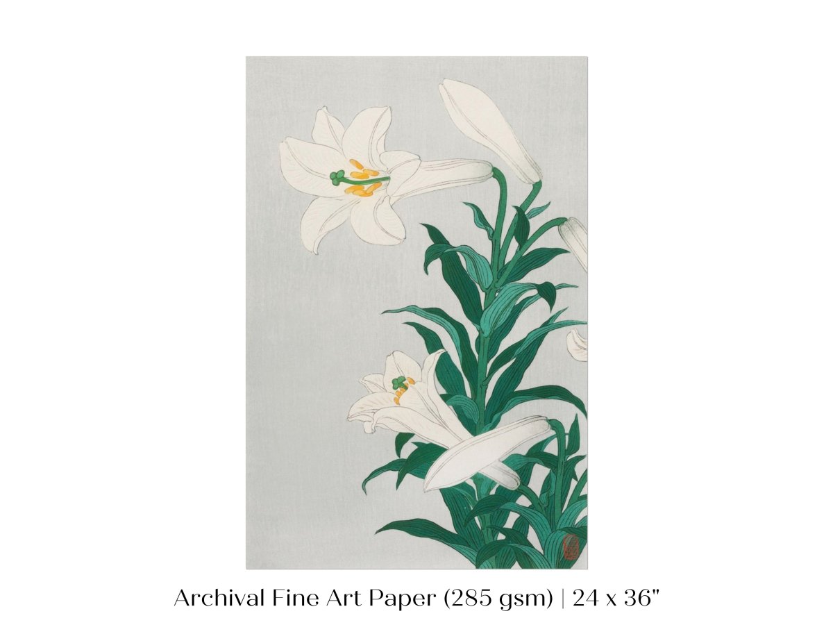 White Lilies | Vintage Japanese Art Print | P355 - Single Art Prints - Piccolo Fiore Prints