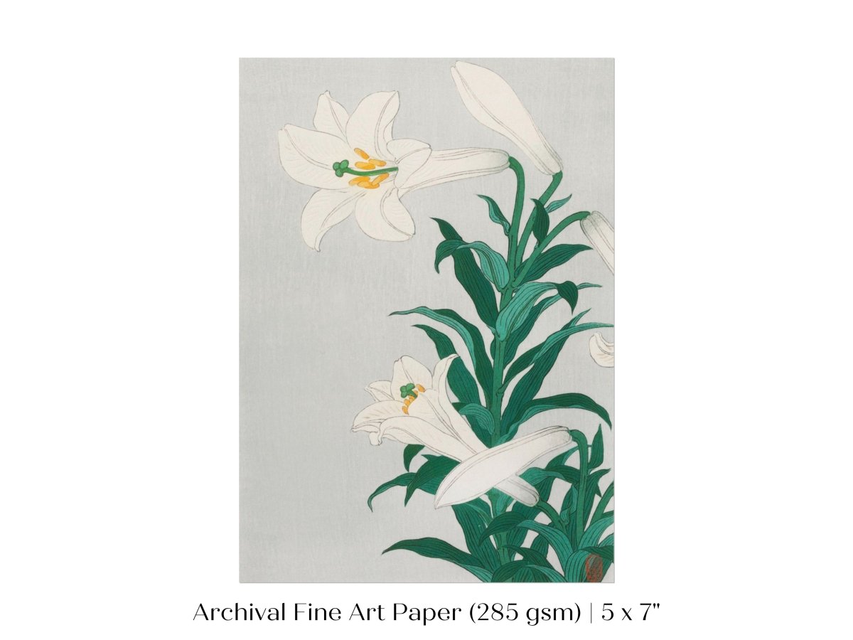 White Lilies | Vintage Japanese Art Print | P355 - Single Art Prints - Piccolo Fiore Prints