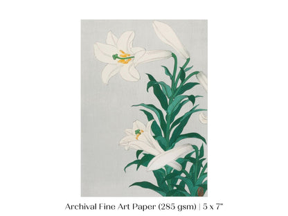 White Lilies | Vintage Japanese Art Print | P355 - Single Art Prints - Piccolo Fiore Prints
