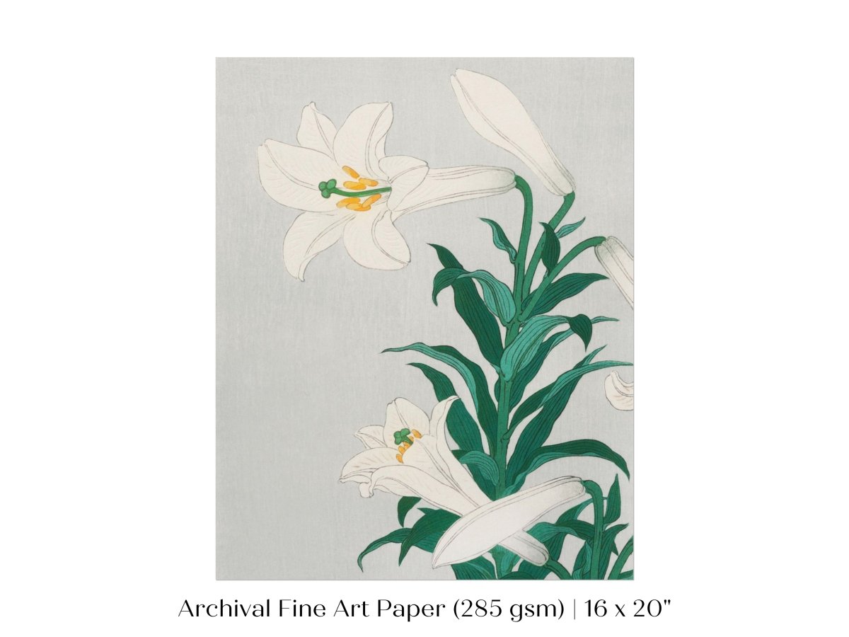 White Lilies | Vintage Japanese Art Print | P355 - Single Art Prints - Piccolo Fiore Prints