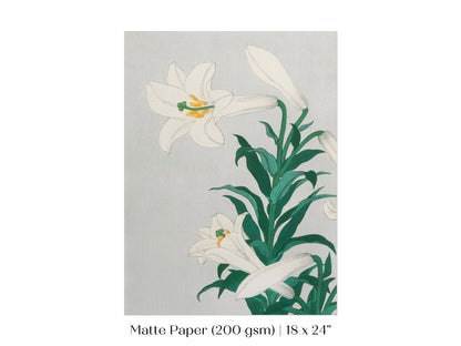 White Lilies | Vintage Japanese Art Print | P355 - Single Art Prints - Piccolo Fiore Prints