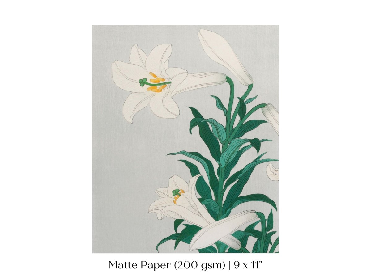 White Lilies | Vintage Japanese Art Print | P355 - Single Art Prints - Piccolo Fiore Prints