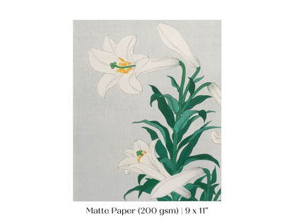 White Lilies | Vintage Japanese Art Print | P355 - Single Art Prints - Piccolo Fiore Prints