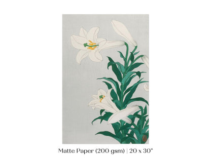 White Lilies | Vintage Japanese Art Print | P355 - Single Art Prints - Piccolo Fiore Prints