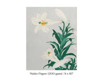 White Lilies | Vintage Japanese Art Print | P355 - Single Art Prints - Piccolo Fiore Prints