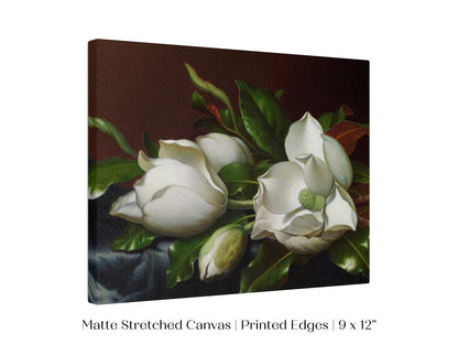 White Magnolias on Blue Velvet Cloth | P349 - Single Art Prints - Piccolo Fiore Prints