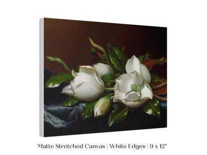 White Magnolias on Blue Velvet Cloth | P349 - Single Art Prints - Piccolo Fiore Prints