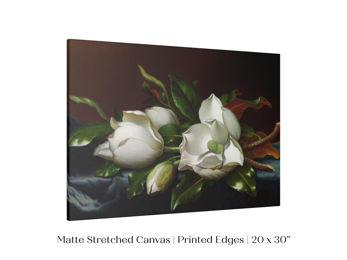 White Magnolias on Blue Velvet Cloth | P349 - Single Art Prints - Piccolo Fiore Prints