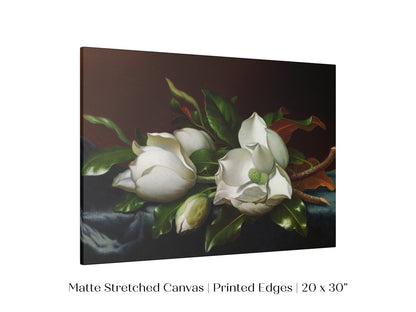 White Magnolias on Blue Velvet Cloth | P349 - Single Art Prints - Piccolo Fiore Prints