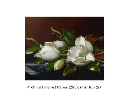 White Magnolias on Blue Velvet Cloth | P349 - Single Art Prints - Piccolo Fiore Prints