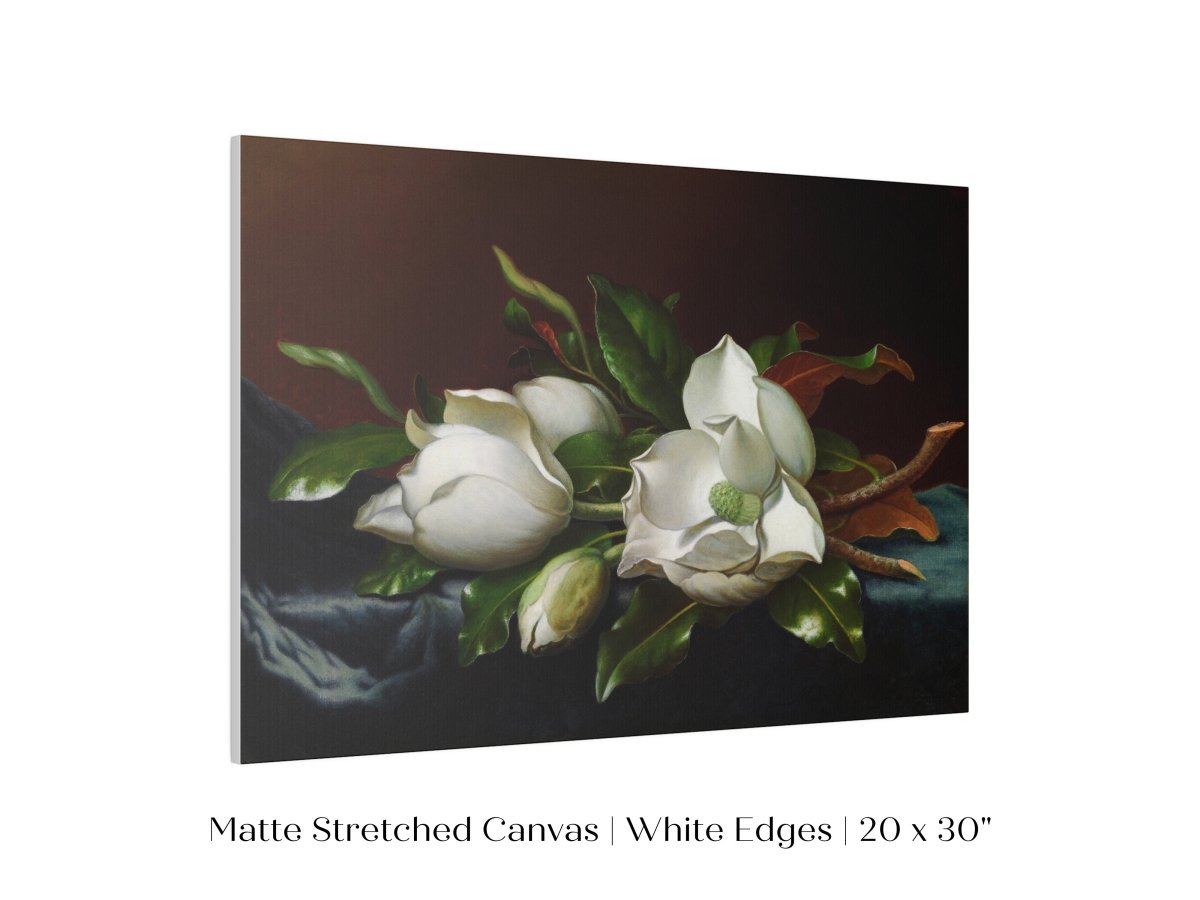 White Magnolias on Blue Velvet Cloth | P349 - Single Art Prints - Piccolo Fiore Prints