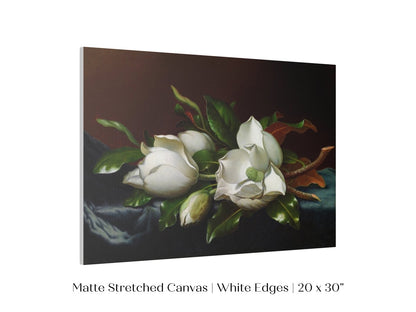 White Magnolias on Blue Velvet Cloth | P349 - Single Art Prints - Piccolo Fiore Prints