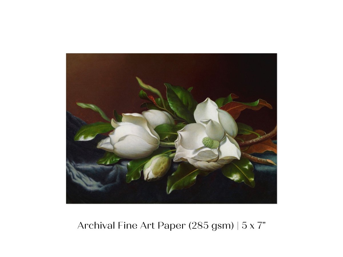 White Magnolias on Blue Velvet Cloth | P349 - Single Art Prints - Piccolo Fiore Prints
