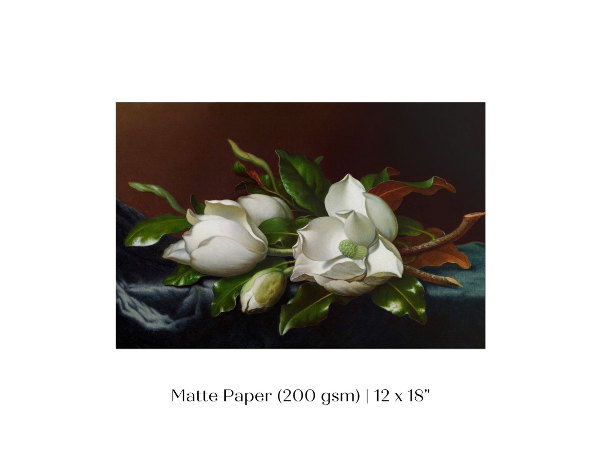 White Magnolias on Blue Velvet Cloth | P349 - Single Art Prints - Piccolo Fiore Prints