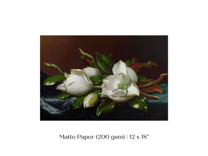 White Magnolias on Blue Velvet Cloth | P349 - Single Art Prints - Piccolo Fiore Prints