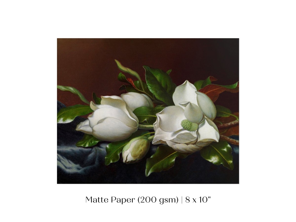 White Magnolias on Blue Velvet Cloth | P349 - Single Art Prints - Piccolo Fiore Prints