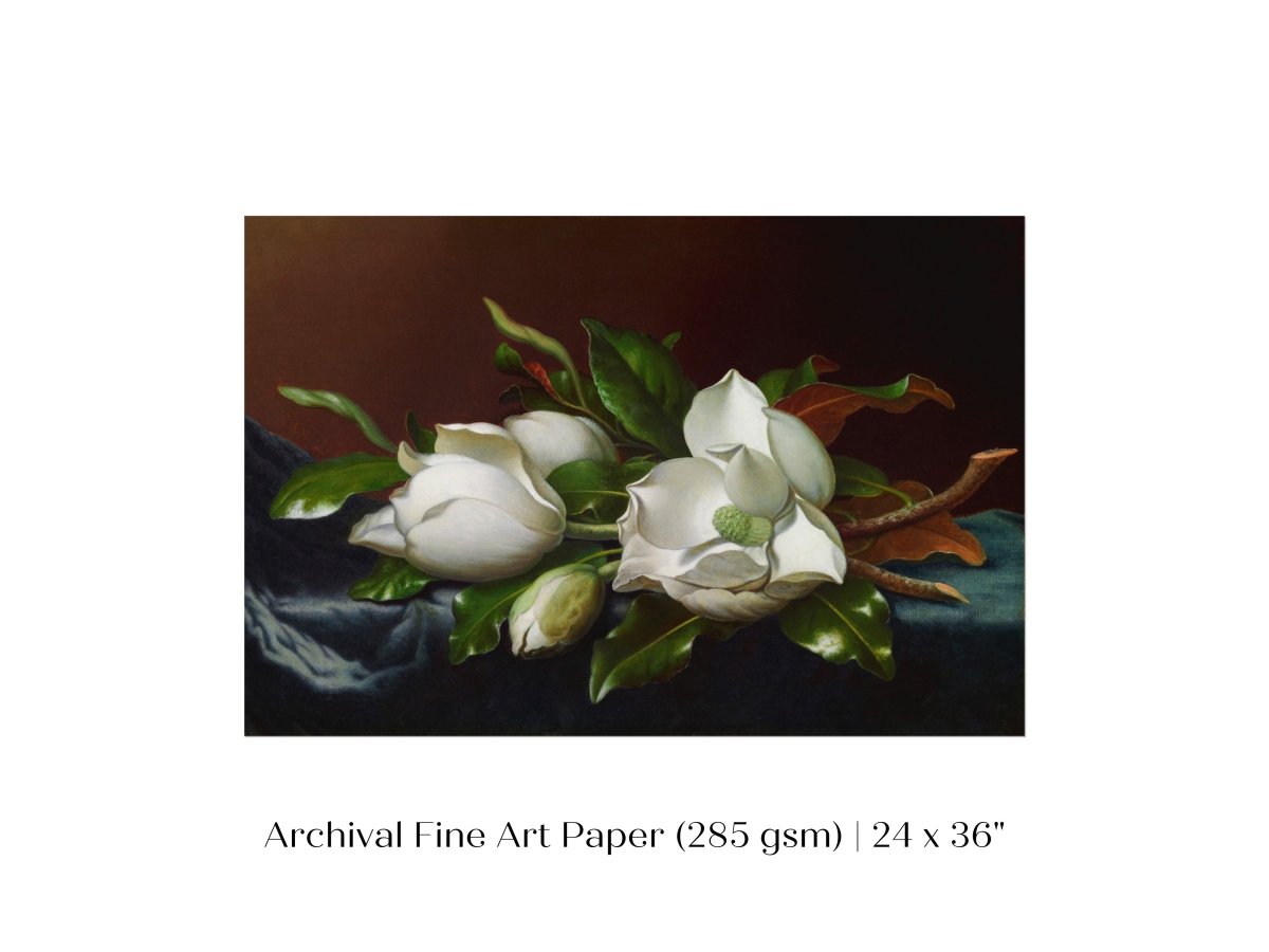 White Magnolias on Blue Velvet Cloth | P349 - Single Art Prints - Piccolo Fiore Prints
