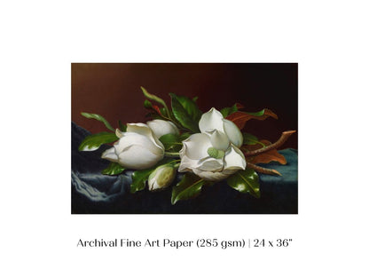 White Magnolias on Blue Velvet Cloth | P349 - Single Art Prints - Piccolo Fiore Prints