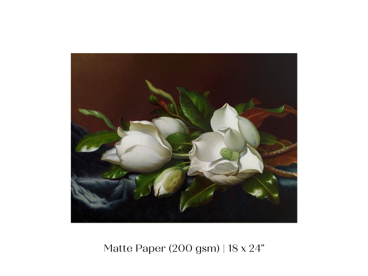 White Magnolias on Blue Velvet Cloth | P349 - Single Art Prints - Piccolo Fiore Prints