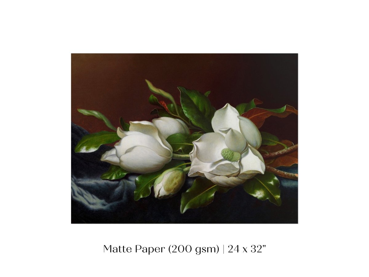 White Magnolias on Blue Velvet Cloth | P349 - Single Art Prints - Piccolo Fiore Prints