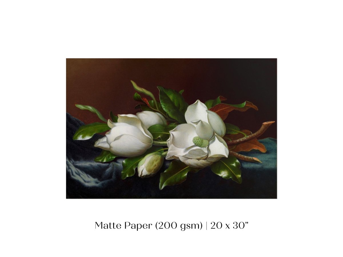 White Magnolias on Blue Velvet Cloth | P349 - Single Art Prints - Piccolo Fiore Prints