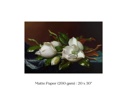 White Magnolias on Blue Velvet Cloth | P349 - Single Art Prints - Piccolo Fiore Prints