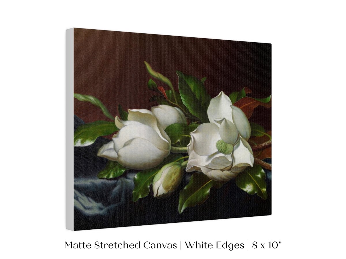 White Magnolias on Blue Velvet Cloth | P349 - Single Art Prints - Piccolo Fiore Prints