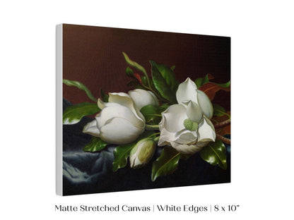 White Magnolias on Blue Velvet Cloth | P349 - Single Art Prints - Piccolo Fiore Prints
