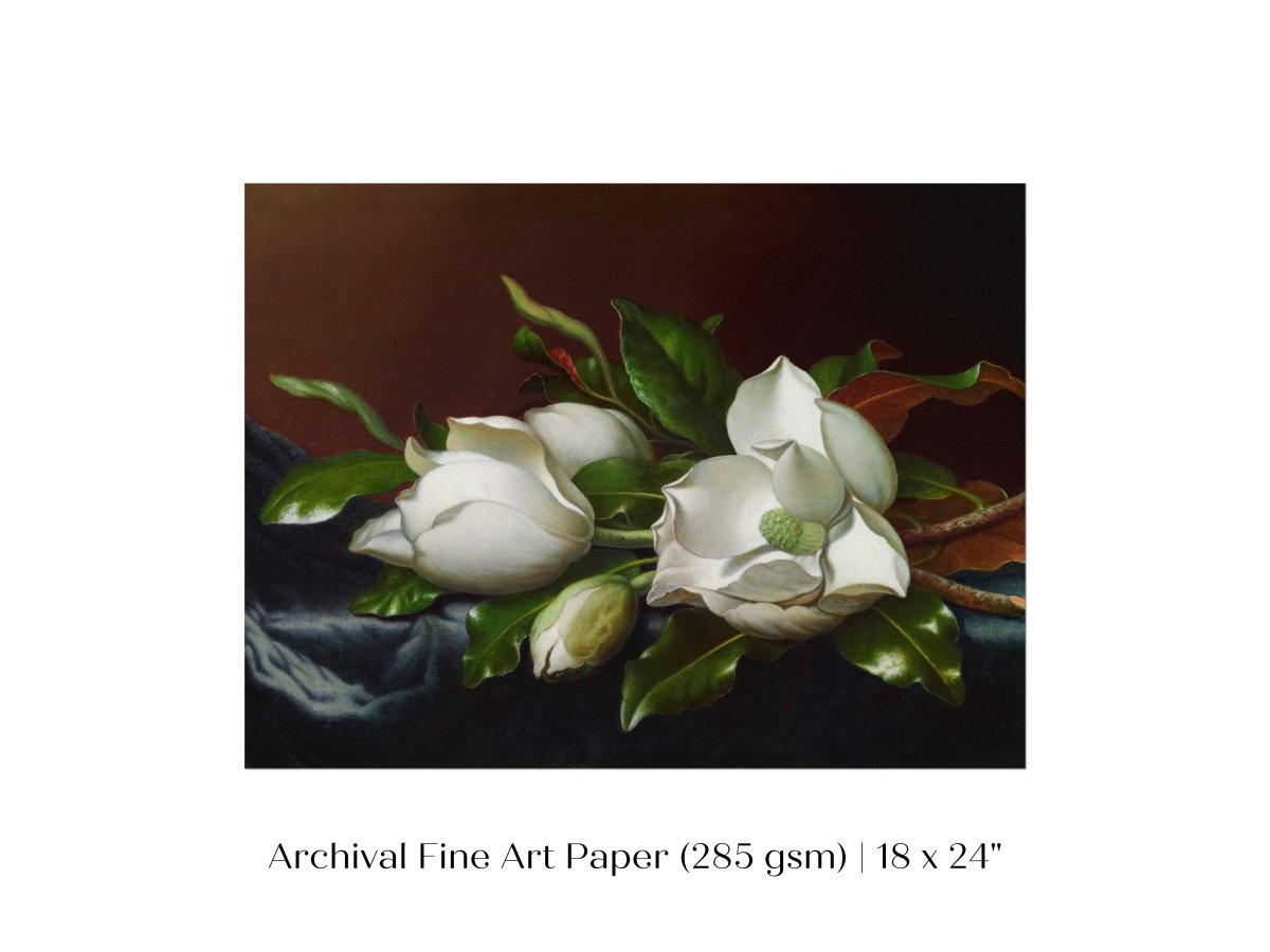 White Magnolias on Blue Velvet Cloth | P349 - Single Art Prints - Piccolo Fiore Prints