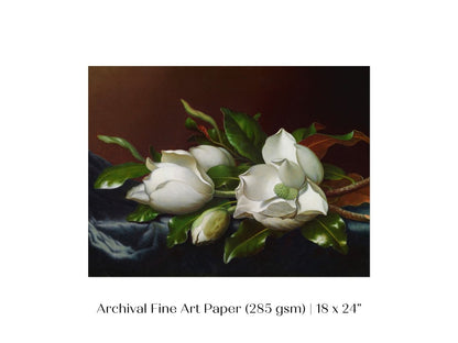 White Magnolias on Blue Velvet Cloth | P349 - Single Art Prints - Piccolo Fiore Prints