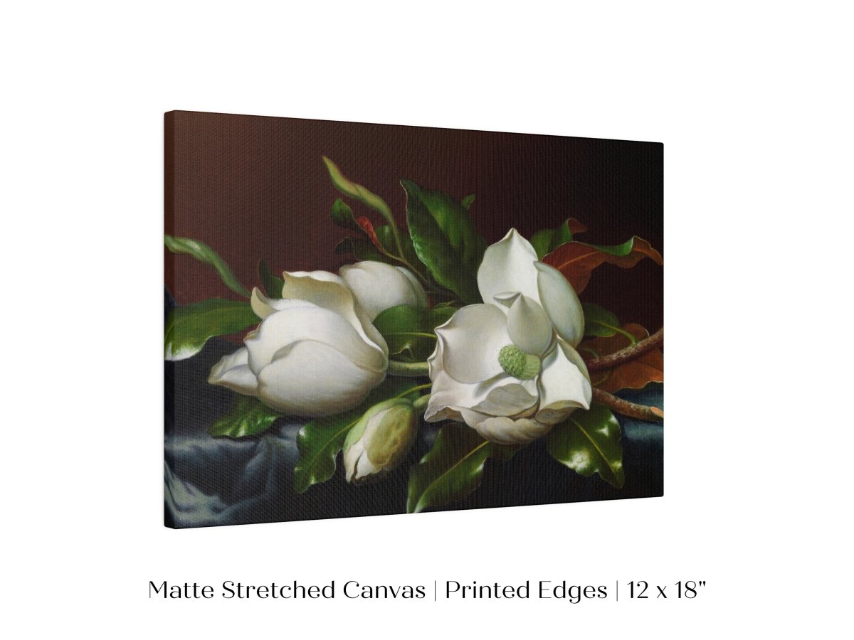 White Magnolias on Blue Velvet Cloth | P349 - Single Art Prints - Piccolo Fiore Prints